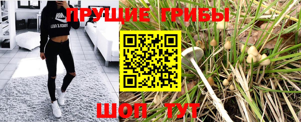 Галлюциногенные грибы MAGIC MUSHROOMS Ивантеевка