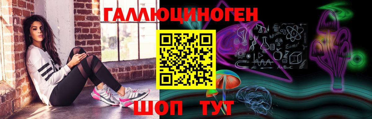 Псилоцибиновые грибы GOLDEN TEACHER  Вход с VPN  Ивантеевка  Псилоцибиновые грибы Psilocybine cubensis 